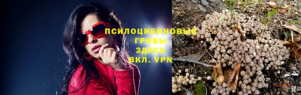 мяу мяу мука Краснослободск