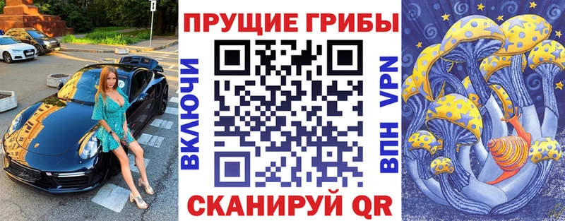 Псилоцибиновые грибы Cubensis  Чита 