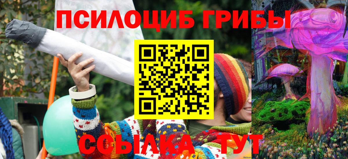 купить наркоту  Вход с VPN  Чита  Псилоцибиновые грибы Psilocybine cubensis 