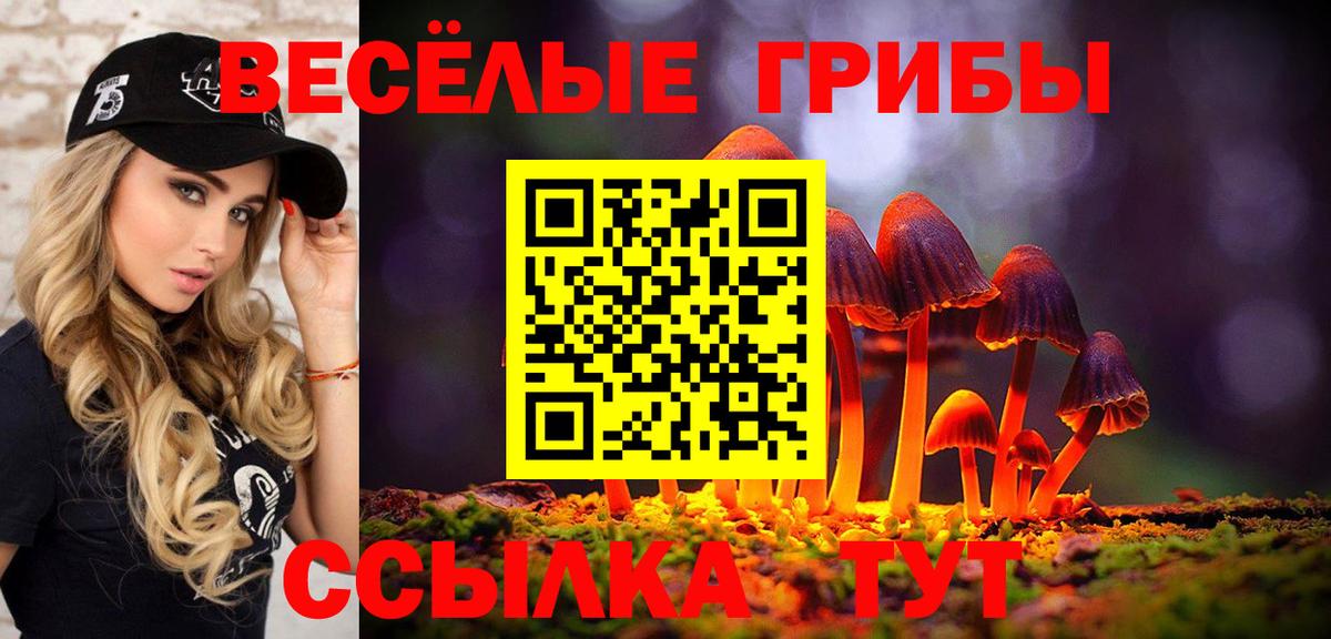 Псилоцибиновые грибы Psilocybe Чита