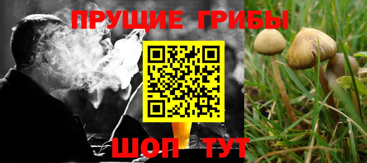 APVP Чита